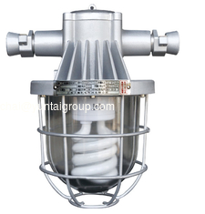 China Mine explosion-proof fluorescent lamp DGS28/127Y  Flameproof fluorescent lamp supplier