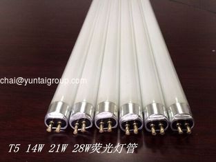 China T5 14W 21W 28W fluorescent tube lamp supplier