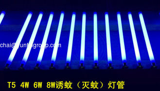 China High Quality 4W 6W 8W UV Tube Mosquito Killer Lamp T5 supplier