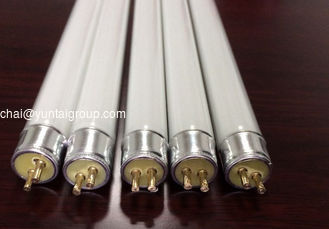 China High Quality 4W 6W 8W UV Tube Mosquito Killer Lamp T5 supplier