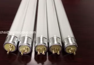 China High Quality 4W 6W 8W UV Tube Mosquito Killer Lamp T5 supplier