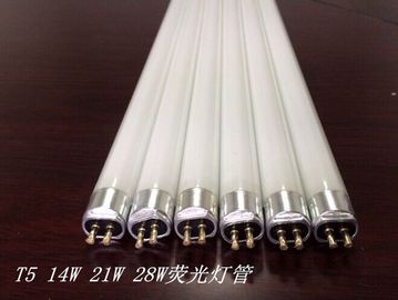 T5 14W 21W 28W fluorescent tube lamp supplier